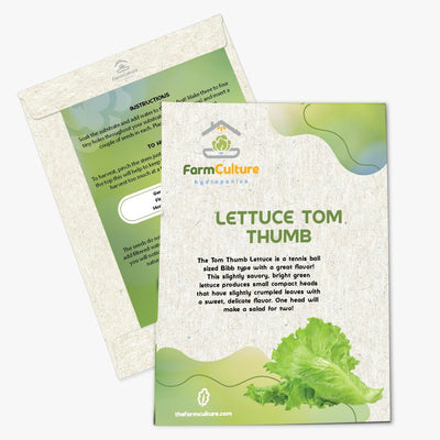 Lettuce Tom Thumb Seeds - Farm Culture